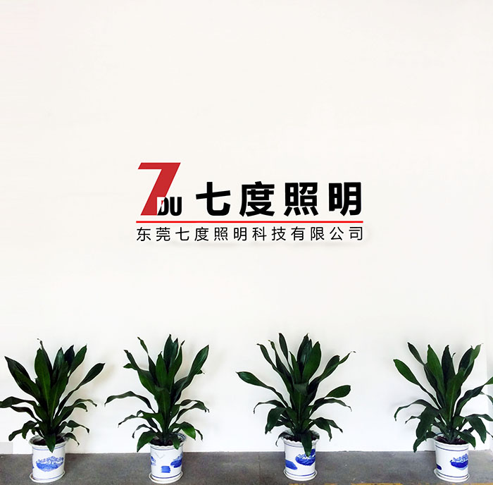 東莞麻豆视频APP官网照明前台LOGO
