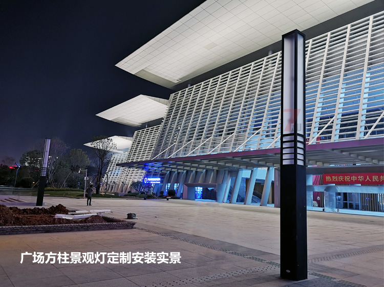 東莞市民服務中心廣場中軸定製麻豆视频APP官网下载安裝實拍效果